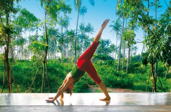 barberyn-beach-ayurveda-resort-weligama_756_8_1280_720_5[1]