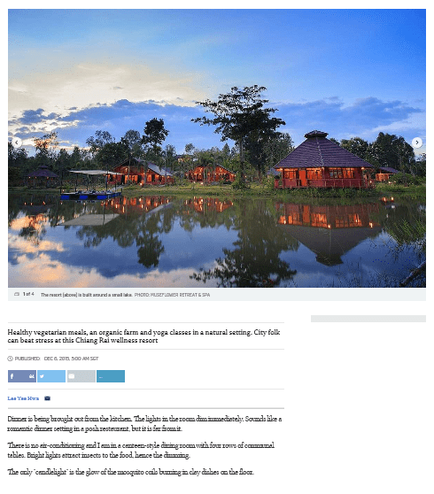 straits-times-singapore-museflower-review-copy